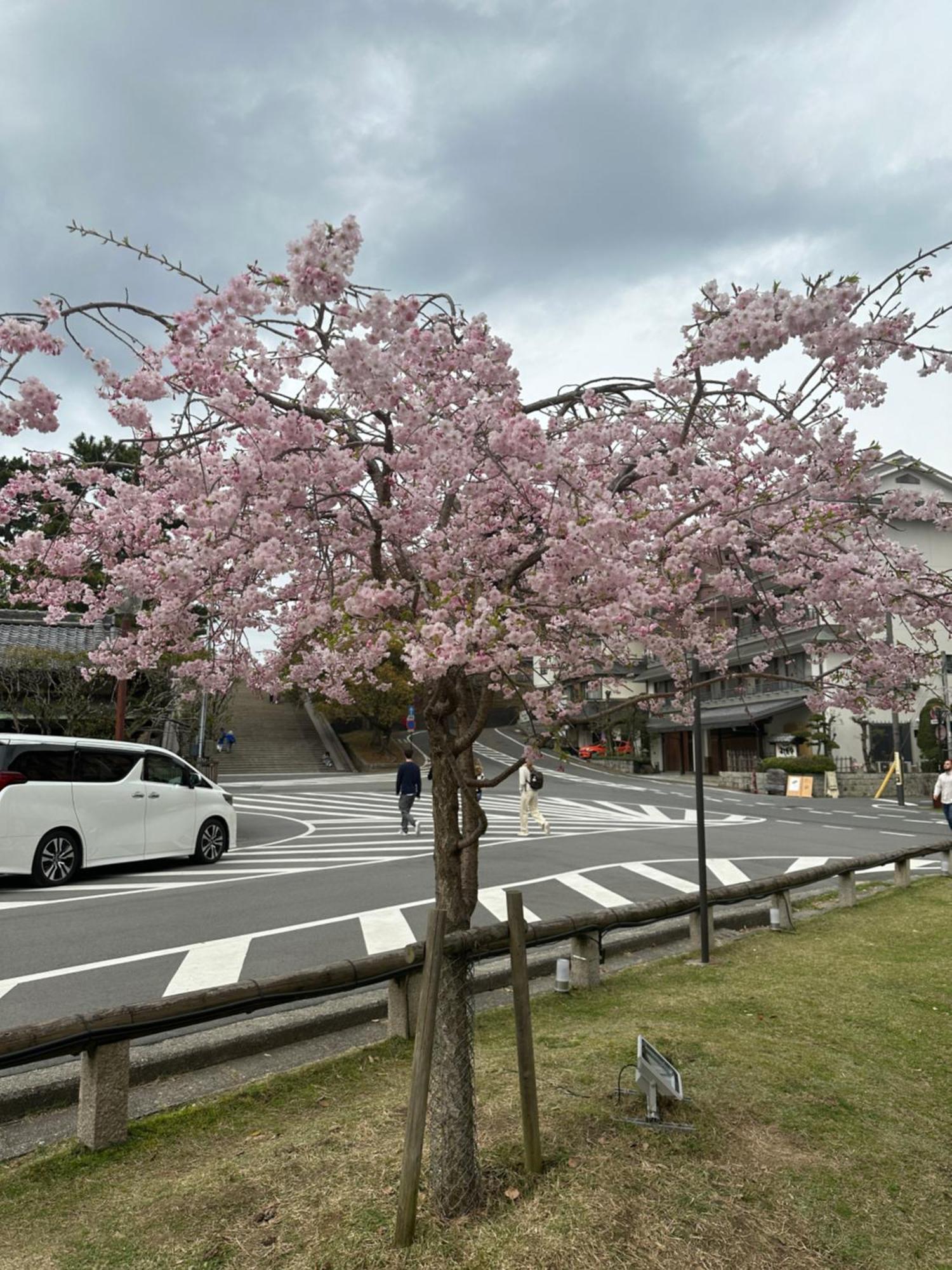 Ryokan Kousen Kazeya Group Nara Exterior foto