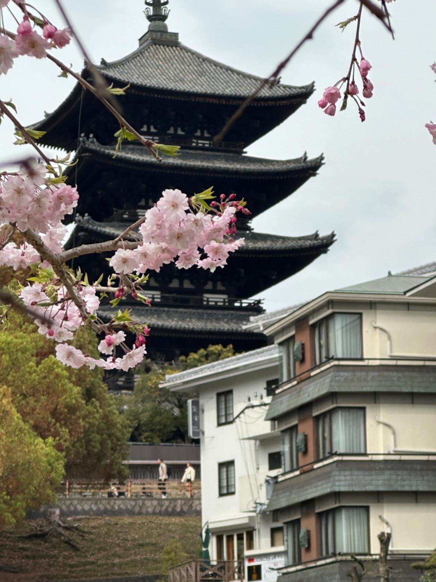Ryokan Kousen Kazeya Group Nara Exterior foto