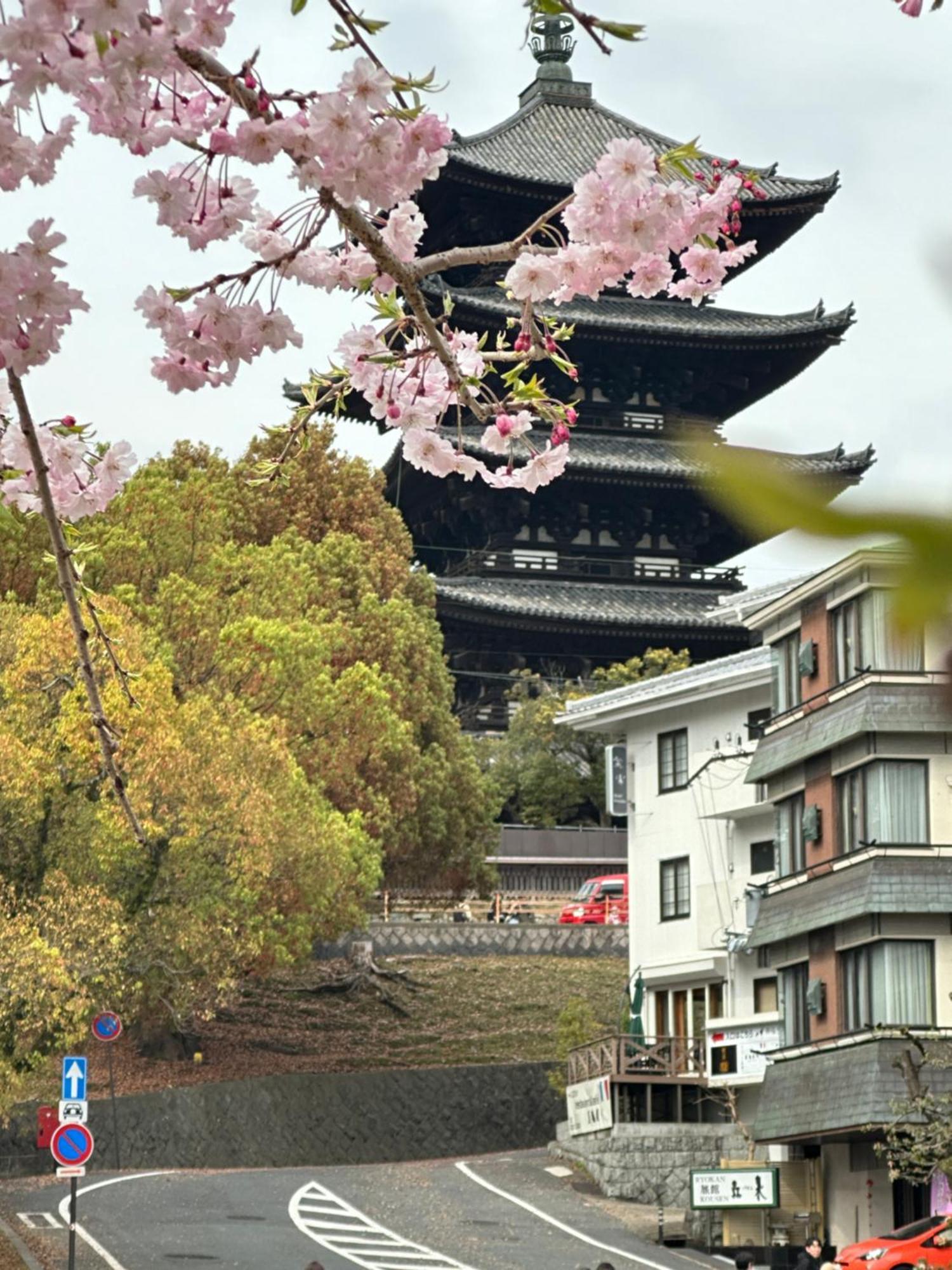 Ryokan Kousen Kazeya Group Nara Exterior foto